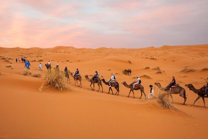 Tour From Marrakech to the Sahara Desert 4 Days - Itinerary Day 2