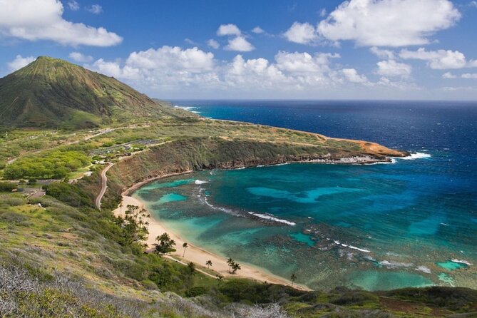 Tour of North Shore & Waimea Waterfall - Knowledgeable and Experienced Guides