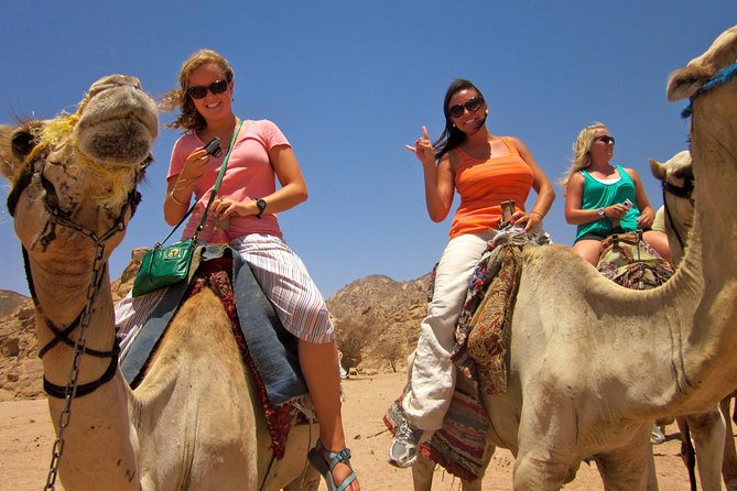 Tour to the Pyramids, Egyptian Museum and Local Bazaar From Cairo - Highlights of the Tour