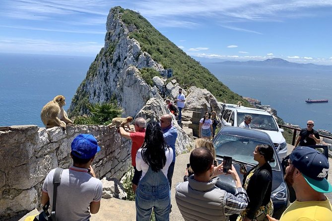 Tours of Gibraltar - STANDARD TOUR - Barbary Monkeys