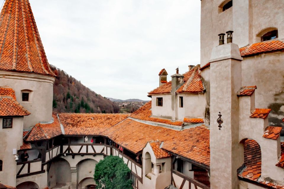 Transylvania Tours: Discover Dracula's Castle & Royal Peles - Tour Inclusions