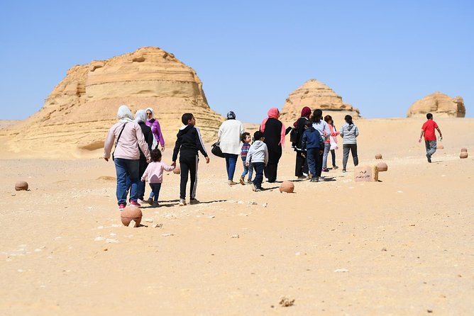 Trip to Wadi El-Hitan, Wadi El-Rayyan & Al Fayyom Oasis Adventure - Overall Experience