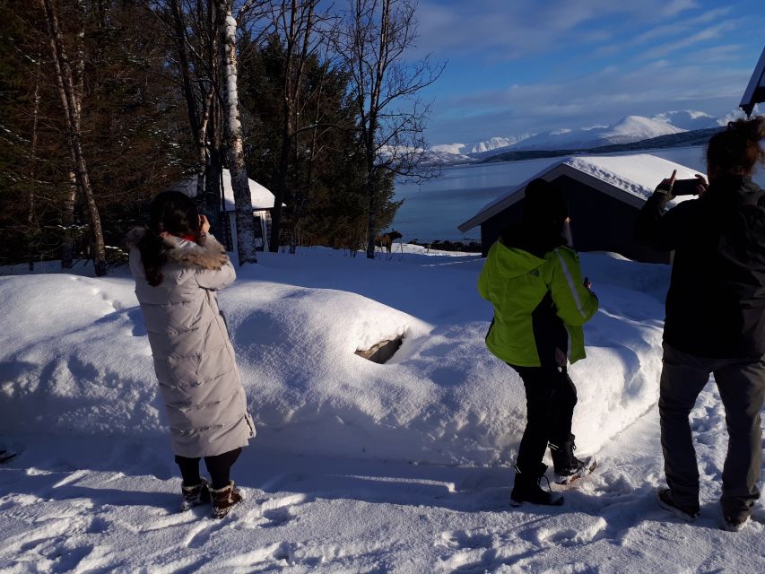 Tromsø: Arctic Landscape and Fjord Tour With Snacks - Highlights of the Tour