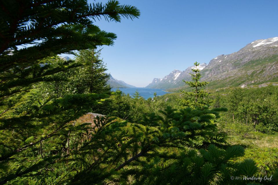 Tromsø: Arctic Landscapes Sightseeing With Citizen Science - Inclusions