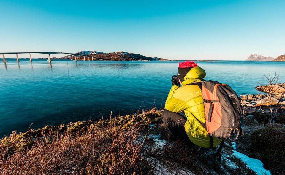 Tromsø: Arctic Sightseeing Tour & Citizen Science Project - Citizen Science Project