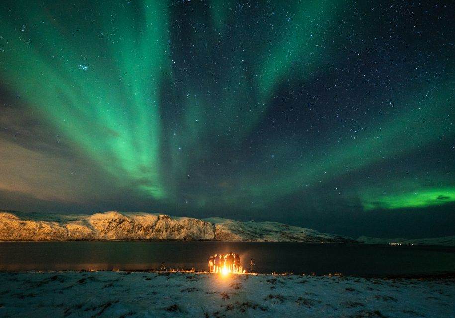 Tromsø: Aurora Borealis Chase With Guide, Meals & Campfire - Pricing and Booking Details