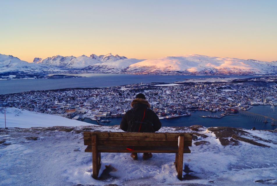 Tromso: Northern Lights Cable Car Excursion - Refreshments and Cake Served