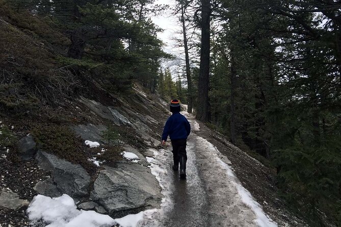 Tunnel Mountain Trail: a Smartphone Audio Nature Tour - Points of Interest