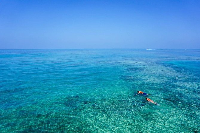 Turtle Town Snorkel With Photo and Video - Small Group Personalized Attention