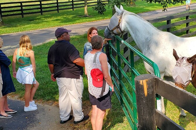 Unique Horse Farm Tours With Insider Access to Private Farms - Interact With Horses and Enjoy