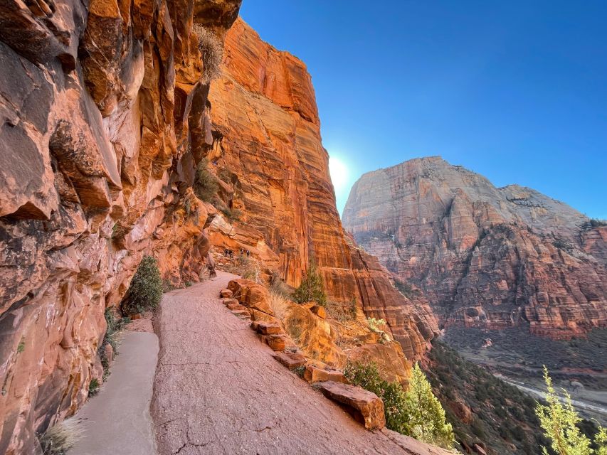 Utah: Zion National Park Half-Day Hike With Picnic - Tips for a Successful Hike