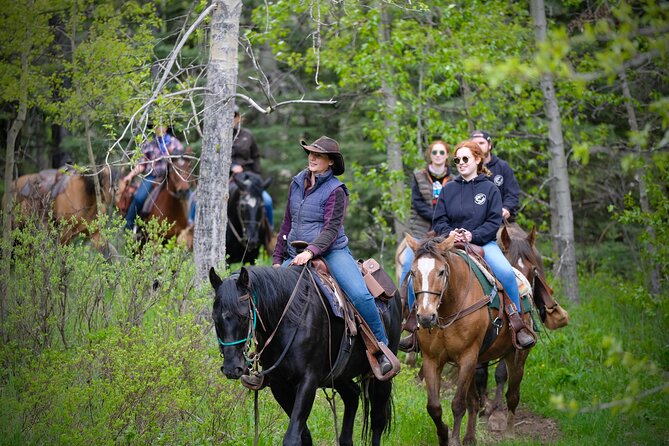 Valley Vista 1.5 Hour Horseback Trail Ride in Kananaskis - Cancellation and Refund Policy