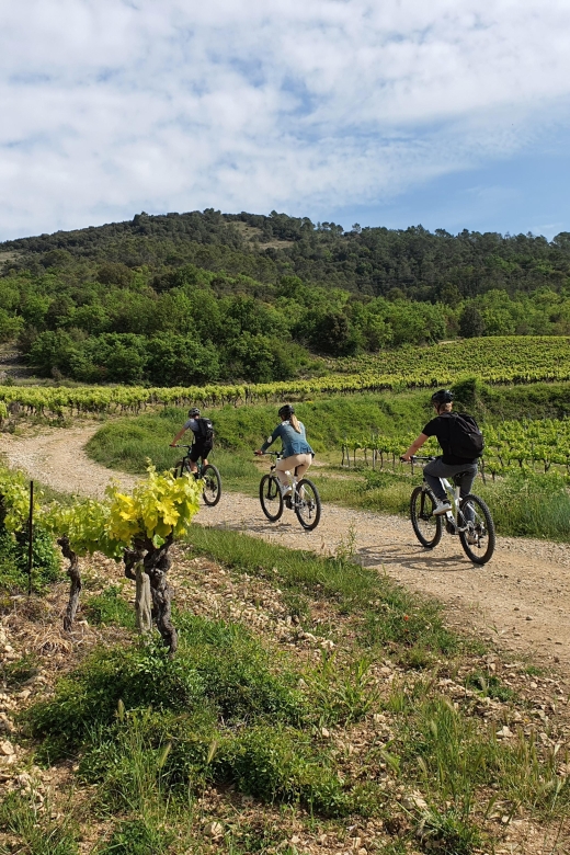 Vallon-Pont-d'Arc: Electric Bike Wine Tour & Tasting - Recap