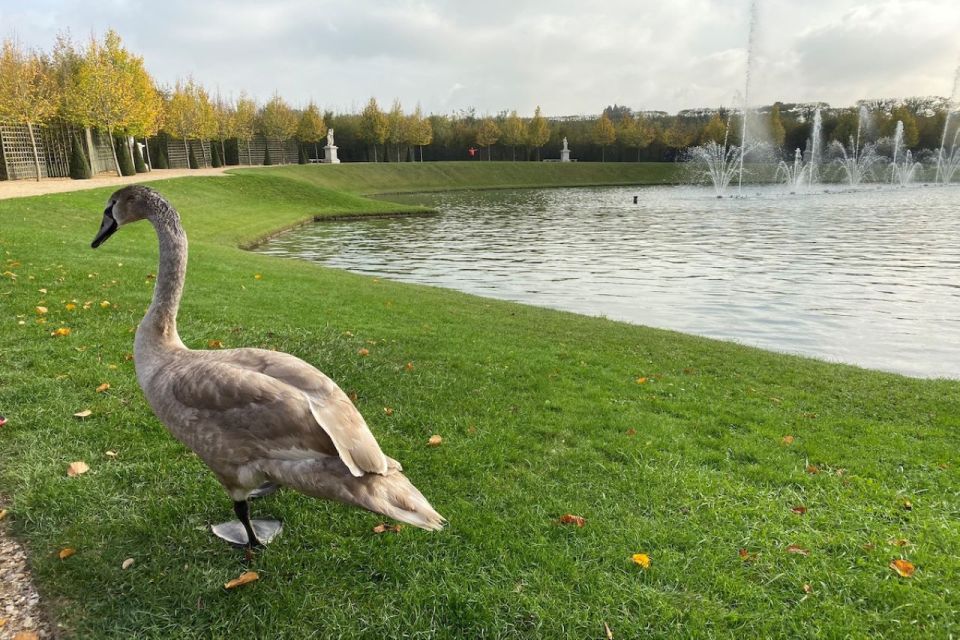 Versailles: Royal Palace & Gardens Private Golf Cart Tour - Important Information for Customers