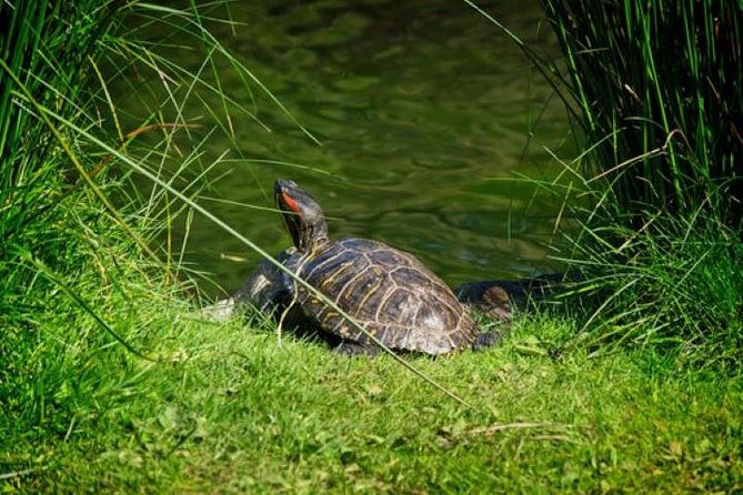 Victoria Sightseeing With Butchart Gardens and Whale Watching - Inclusions and Amenities