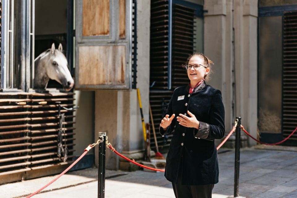 Vienna Spanish Riding School Guided Tour - History of the School