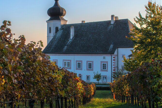 Vienna Woods Wine Tour - Wines, Vines & Good Times! - Tour Requirements and Accessibility