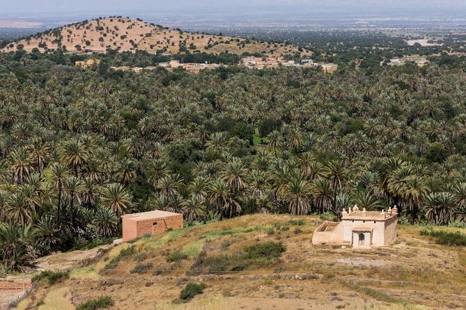 Visit Taroudant and Tiout 1 Day From Agadir - Tour the Old Medina and Souks