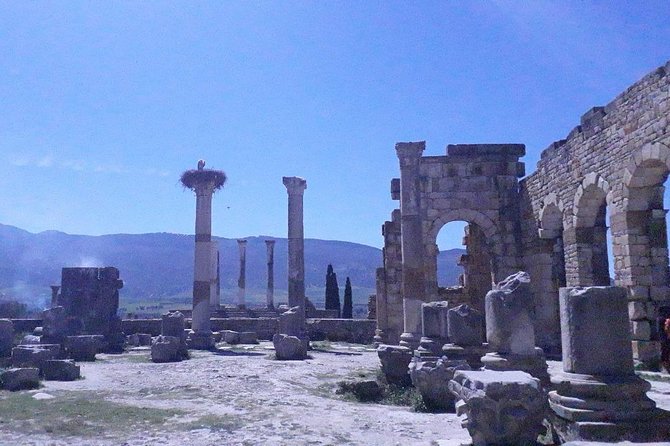 Volubilis, Moulay Idriss, and Meknes Tour - Tour Itinerary