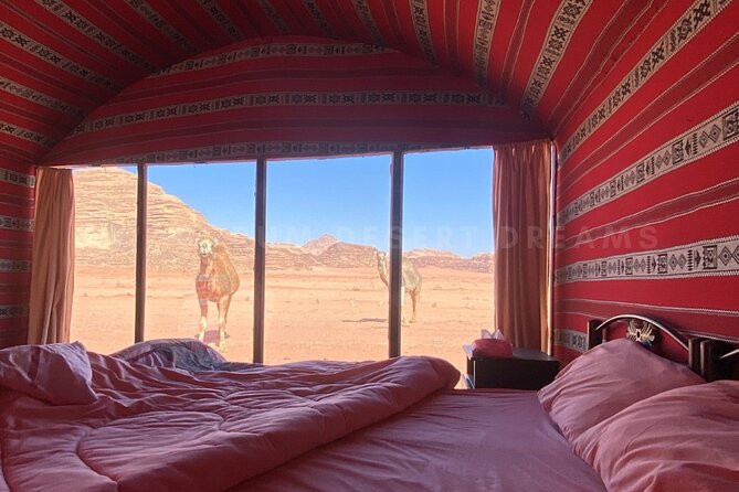 Wadi Rum Full Day Jeep Tour + Overnight & Dinner in Bedouin Camp - Cancellation and Refund Policy