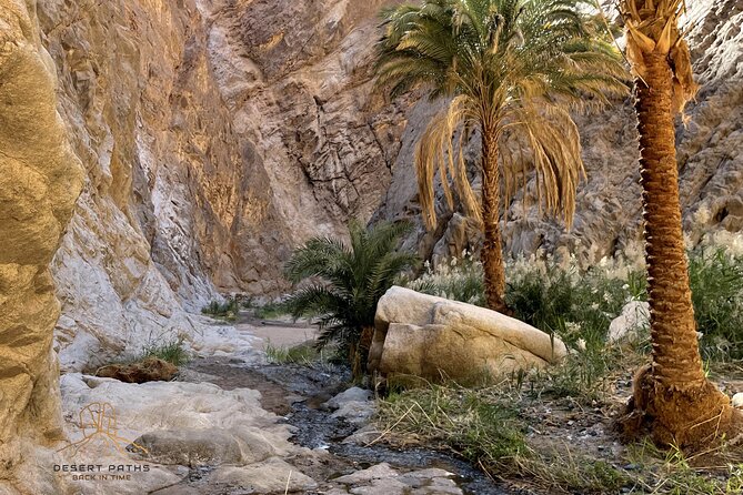 Walk in Moses Footsteps - Tour Between Tabuk and the Red Sea - Immersion in Bedouin Culture