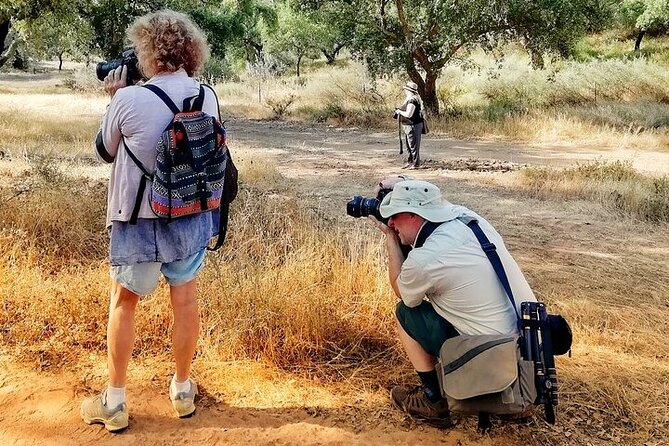 Walk on the Alentejo Cork Forest With Optional Lunch - Tour Logistics and Accessibility