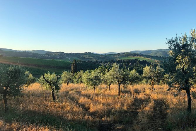 Walking Tour of Chianti Classico With 3 Organic Wine Tasting and Lunch - Tasting of 8 Organic Wines