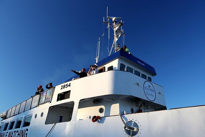 Whale Watching and Marine Life Tour in Reykjavik - Accessibility and Transportation