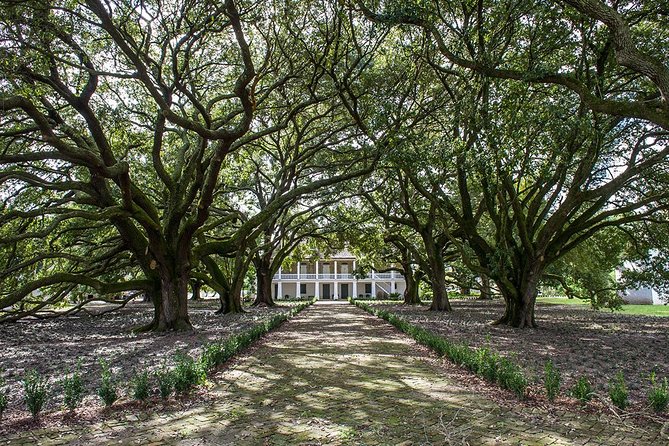 Whitney Plantation Tour With Transportation From New Orleans - Accessibility and Special Arrangements