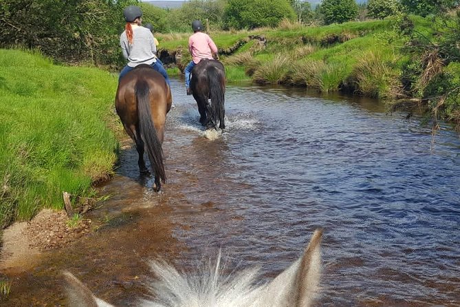 Wicklow Mountains Horse Trekking - Safety Considerations