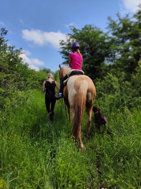 Wild Spring Ranch: Rakovica, Croatia, Horse Riding - Private Transfer