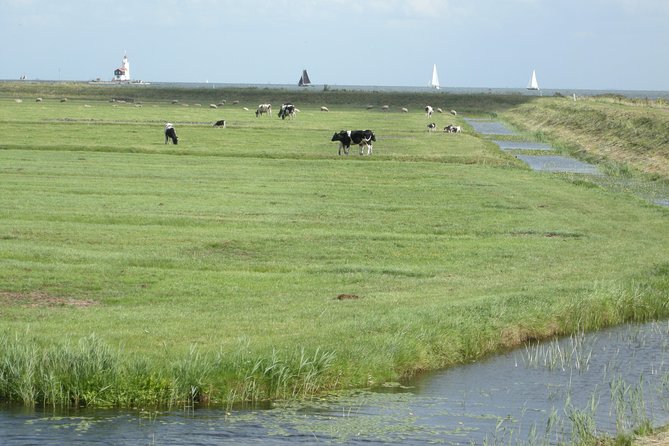 Zaanse Schans Windmills & Cheesetasting Live Guide From Amsterdam - Cancellation and Refund Policy