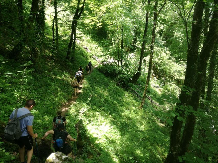 Zagori: Vikos Gorge Hike - Booking Process