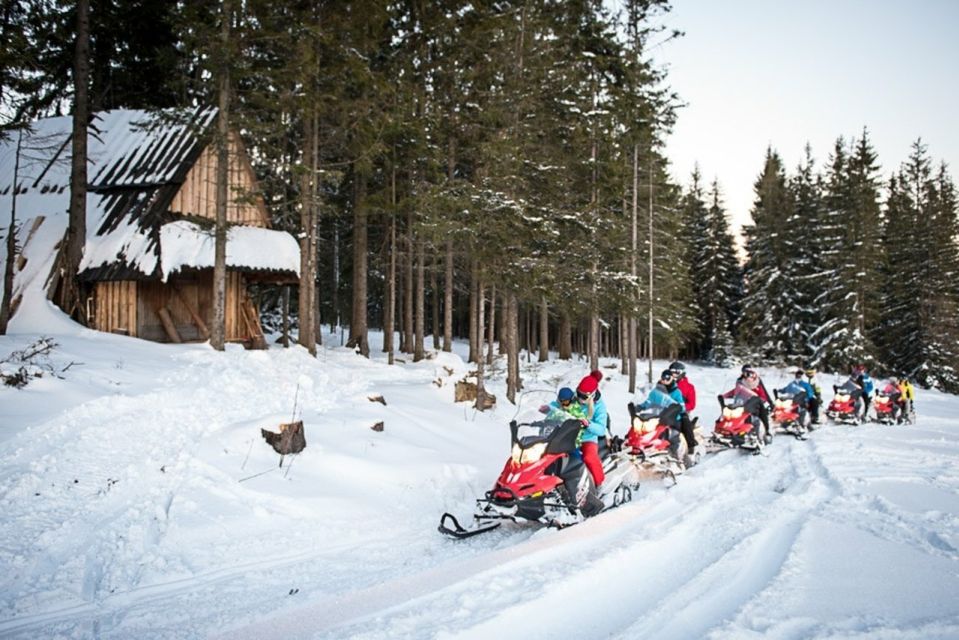 Zakopane: Snowmobile Adventure in Tatra Mountains - Snowmobile Adventure Excitement