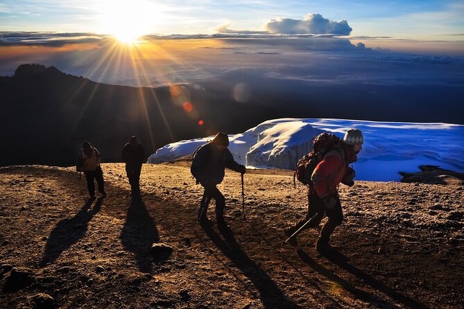 7 Days Kilimanjaro Trek via Machame Route - Key Points