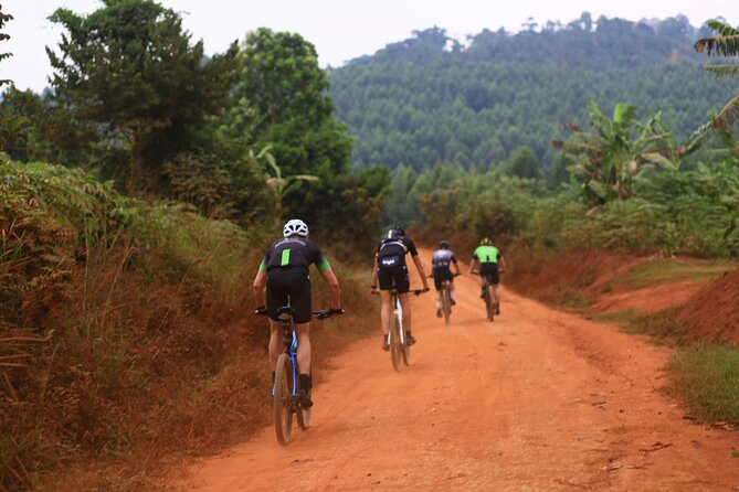 7 Hours Guided Cycling Tour to Sezibwa Waterfalls - Key Points