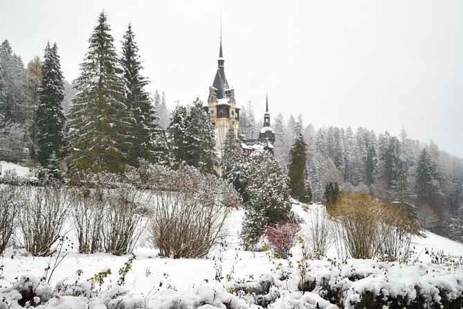 1 Day Castles Tour - Sinaia and Bran - Group Size and Accessibility