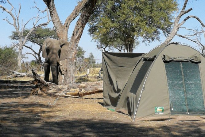 13 Day WILDERNESS TRAIL: Best Of Northern Botswana -WildCamping + Victoria Falls - Explore Northern Botswana