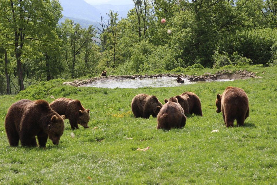 2-Day Private 4x4 Tour: Explore the Carpathian Mountains - Frequently Asked Questions