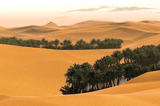 2 Days and 1 Night Private Wahiba Sands Desert Tour - Customer Reviews