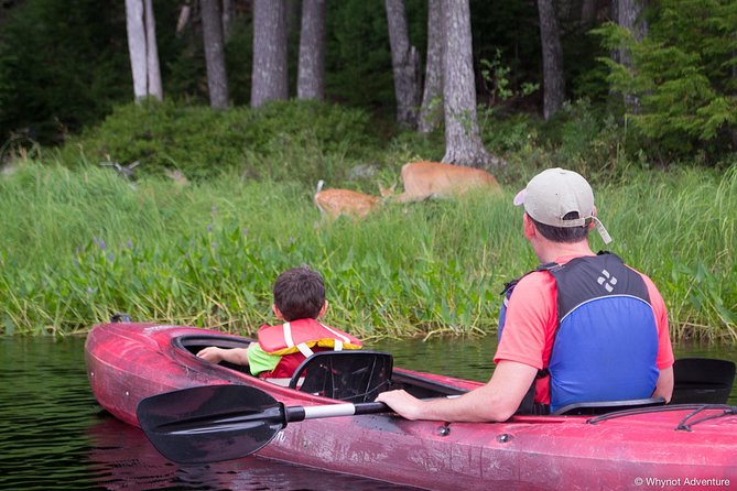 2 Hour Mersey River Quickie Adventure - Insider Tips