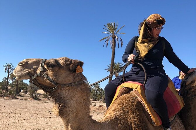 2-Hour Quad Bike & Camel Ride in Marrakech Palmeraie - Quad Biking Over the Dunes