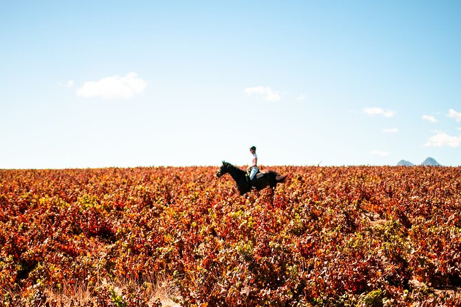 2 Hour Vineyard Trail Ride - Getting to the Meeting Point