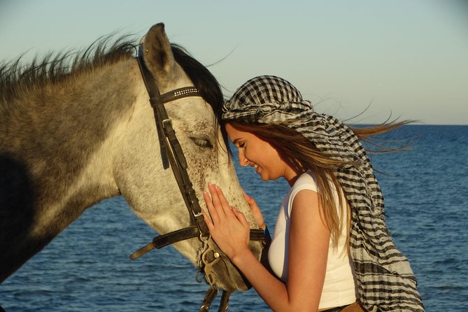 2 Hours Horse Riding 1H on the Sea and 1H in Desert From Hurghada - Exploring Natural Wonders