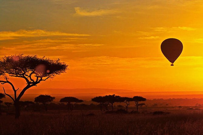 3-Day Masai Mara Safari Tour to See the Big Five and Wildebeest Migration - Pricing and Reviews