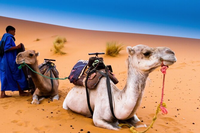 3-Day Sahara Desert To Merzouga From Marrakech - Experience Camel Rides