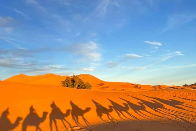 3 Days Group Tour From Marrakech to Merzouga Desert - Tour Pricing and Booking