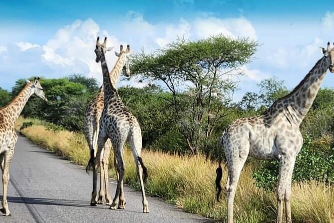 3 Days Tour at Chobe Park and Victoria Falls With Airport Pickup - Cancellation and Refund Policy