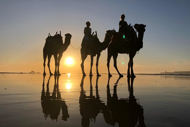 3-Hour Camel Ride at Sunset - Booking and Confirmation