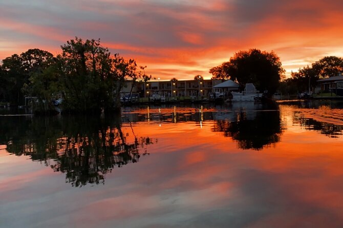 3-Hour Small Group All-Inclusive Manatee Swim With Photo Package - Customer Reviews